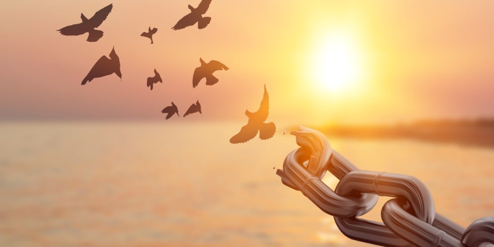 Libérez-vous de la Culpabilité | Comprendre ses mécanismes et s’en défaire